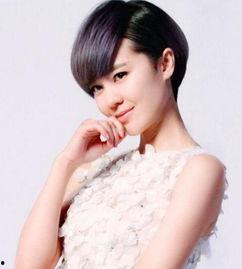 有哪些明星是四川人,璀璨星河中的四川之光