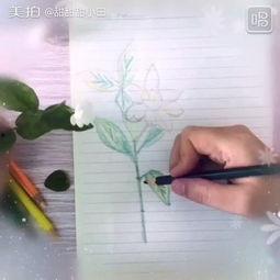 小田背景图,探寻小田背景图背后的故事与魅力